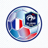 法乙联赛官方中文网站标志